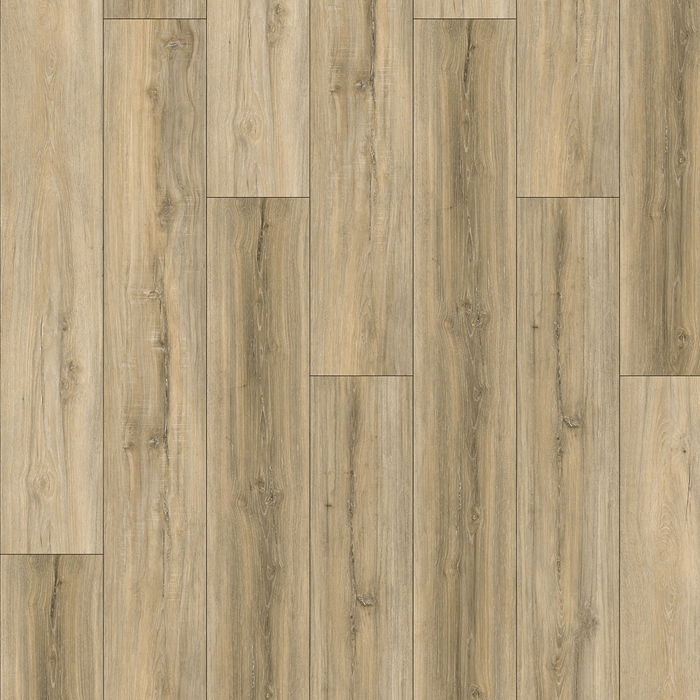 WS6086
