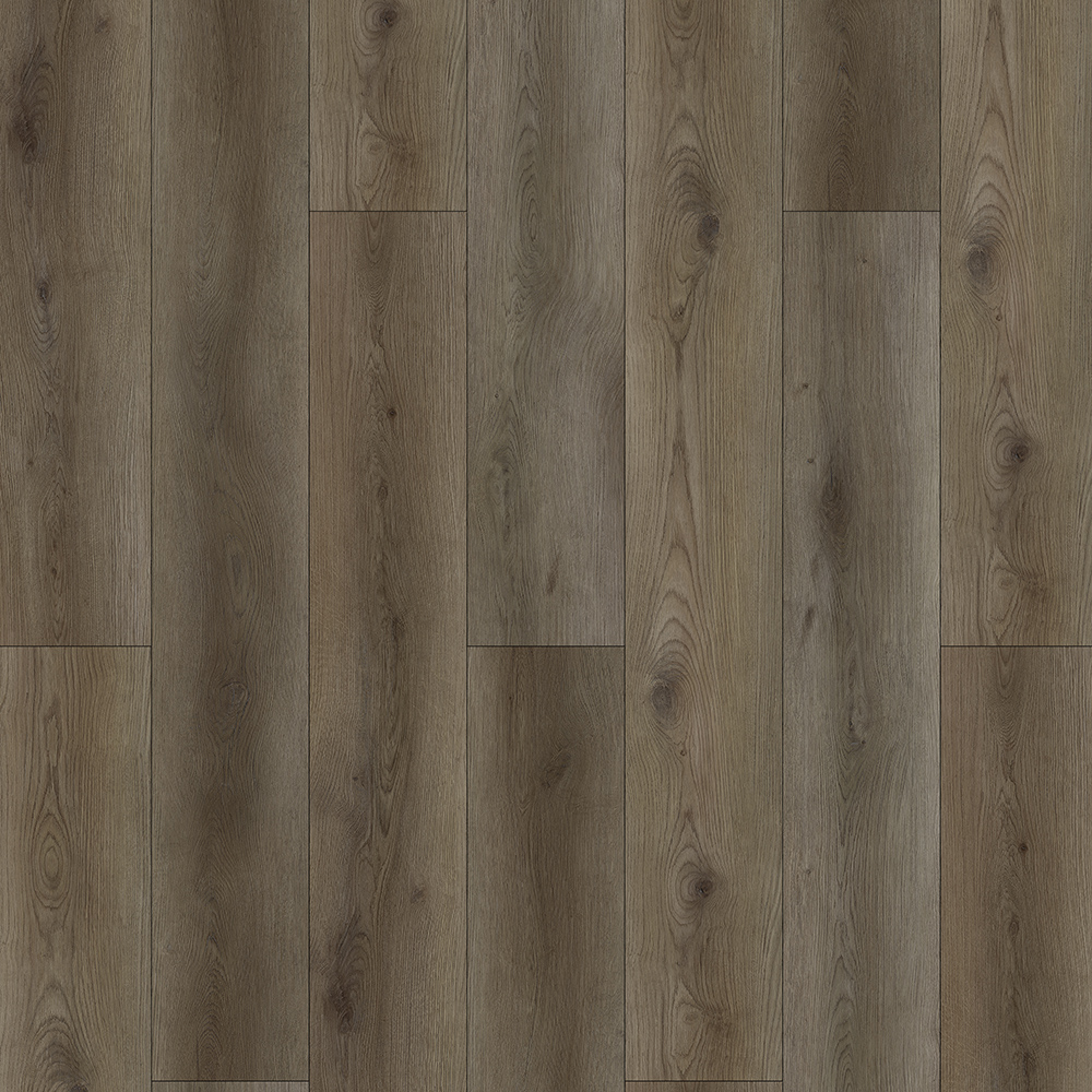 WS9081