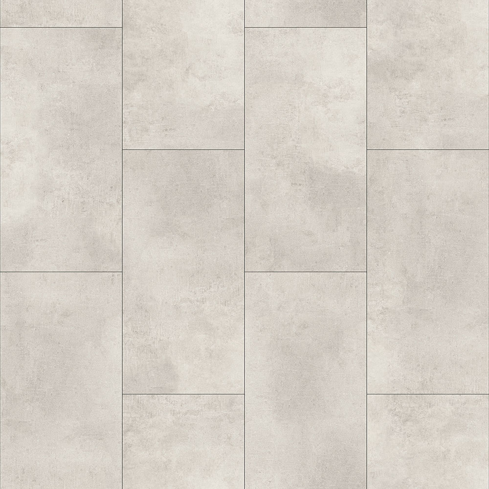 WS1006
